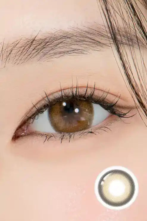 Doonoon Cuddling Brown Toric