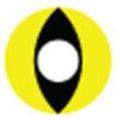 Sweety Crazy Cat Eye Yellow