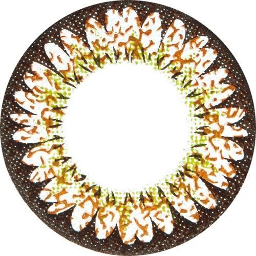 Sakura Brown Colored Contacts