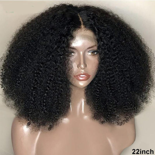 Brazilian 13x4 Afro Kinky Curly Lace Front Human Hair Wigs